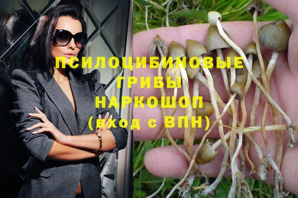 эйфоретик Кулебаки