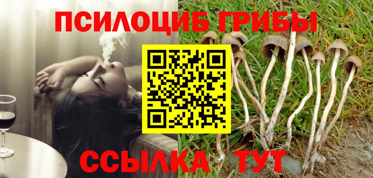 Волгоград  Псилоцибиновые грибы MAGIC MUSHROOMS  Вход с VPN 