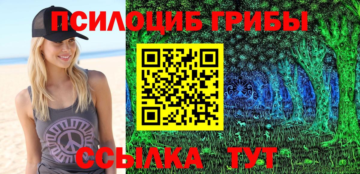 Галлюциногенные грибы прущие грибы  как найти закладки  Волгоград  Псилоцибиновые грибы прущие грибы 